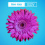 Fine Day XXIV (feat. Adam F) - Shadow Child Remix