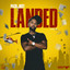 PACK JUST LANDED VOL. 2 cover