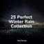 25 Perfect Winter Rain Collection cover