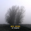 Amigo del Viento cover