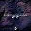 Why - Extended Mix