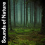 Sounds of Nature cover