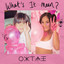 What\'s It Mean? artwork