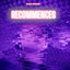 Recommences