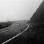 With the Turns - jaybird