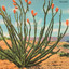 Ghost Funk Orchestra - Ocotillo