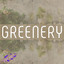 Vince Violet - Greenery