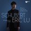 Schubert: Piano Sonata No. 20 in A Major, D. 959: II. Andantino - Franz Schubert