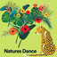 Natures Dance cover