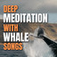 Deep Meditation with Whale Songs cover