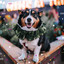 (Tenor Sax Solo) Music for Traveling with Dogs cover