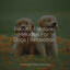 Beautiful Nature Melodies For Dogs | Relaxation cover