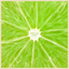 Corus - TopChef-NSOct20 - .