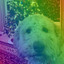 Feelings for Staying Warm Pups cover