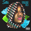 Satin' cover