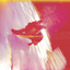 Polyvinyl 2004 Sampler cover