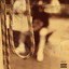 Circus cover
