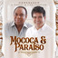 Ferro a Brasa cover