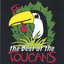 Toucans Steel Drum Band profile