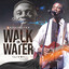 Kaestrings - Kaestrings - Walk On Water | Live