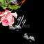 La Danza Camelia - Chris C. Remix