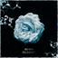 Everywhere cover