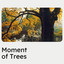 Moment of Trees cover