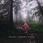 Rainy Forest Path: Evening Shower of Good and Tranquil Dreams cover