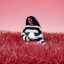 NAO - Elevate
