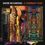 Xavier Richardeau - Broussa-samba