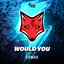 Would You - Extended Mix