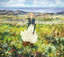 WILL - English ver. cover