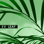 KV - LEAF