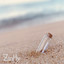 ZinHy profile