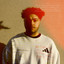 Shelter cover