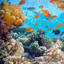 35 Living The Soul Dream With Ocean cover