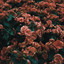 Rod Best - Close Up