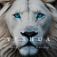 Yeshua cover
