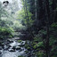 Meet Me Where the River Turns Grey cover