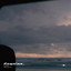 Willow & just here. - Everything