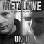 Metalowe okno