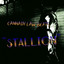 STALLION cover