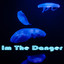 Im The Danger cover