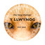 The Long Champs — Y Llwynog (Duncan Gray Remix) cover art