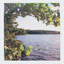 Emil Ingmar - Birch Song