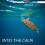 Into the Calm cover