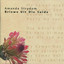 Amanda Strydom - Slippers van satyn