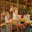 Merry-go-round cover