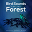 Bird Sounds for the Forest cover