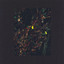 Dunia & Aram - The Passenger